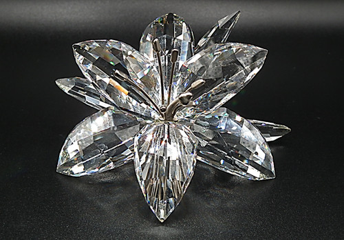 Swarovski crystal clear - crystal,