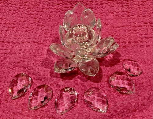Swarovski water lily needs - water,